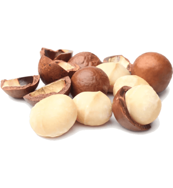 WAAM Huile de Macadamia certifiée BIO 75ml vue alternative huile végétale anti-âge acide palmitoléique pénétration rapide - novaparapharmacie