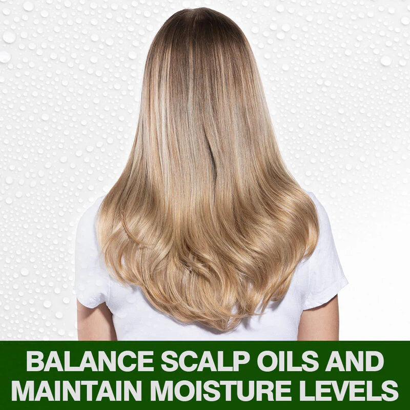  CHI Tea Tree Oil 340ml shampooing huile arbre à thé purifiant apaisant - novaparapharmacie