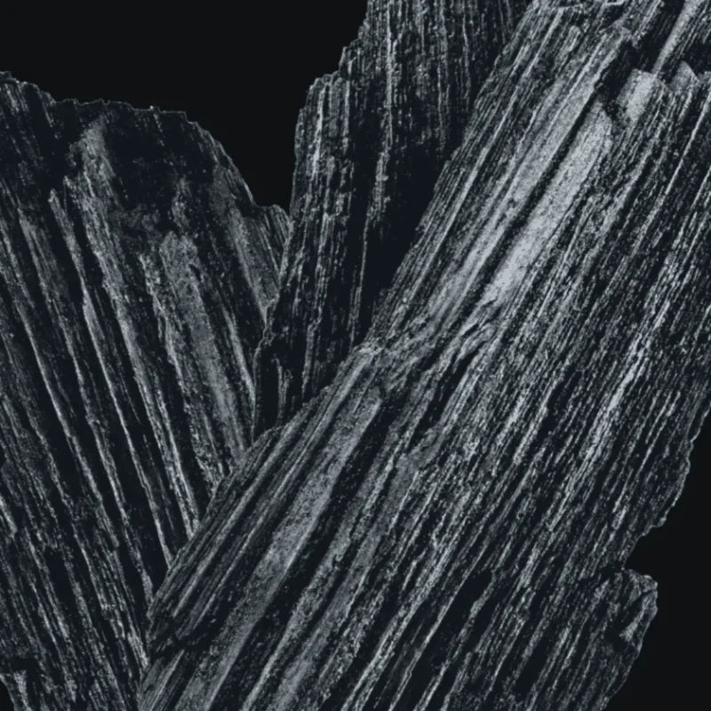 Soin ECODENTA Dentifrice Blanchissant Charbon Actif 100ml packaging blancheur naturel vegan bio - novaparapharmacie