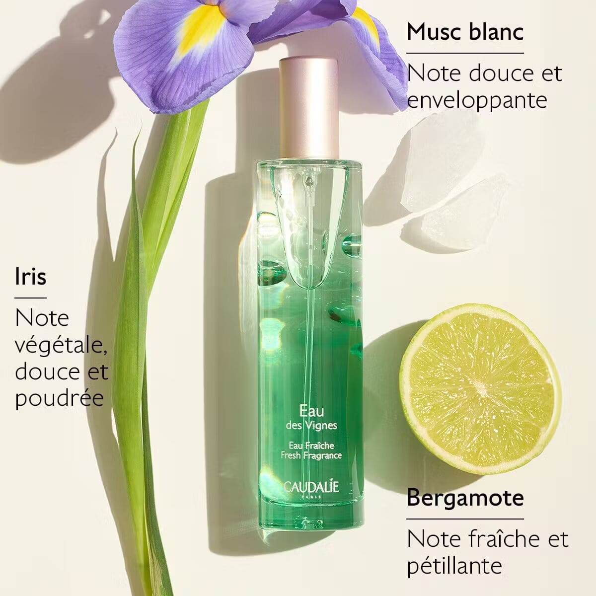 Caudalie Eau Des Vignes Eau Fraîche 50ml - Nova Parapharmacie