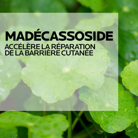Formule Cicaplast Baume B5 Vitamine B5 Madécassoside Cuivre Zinc Réparation Apaisement - novaparapharmacie