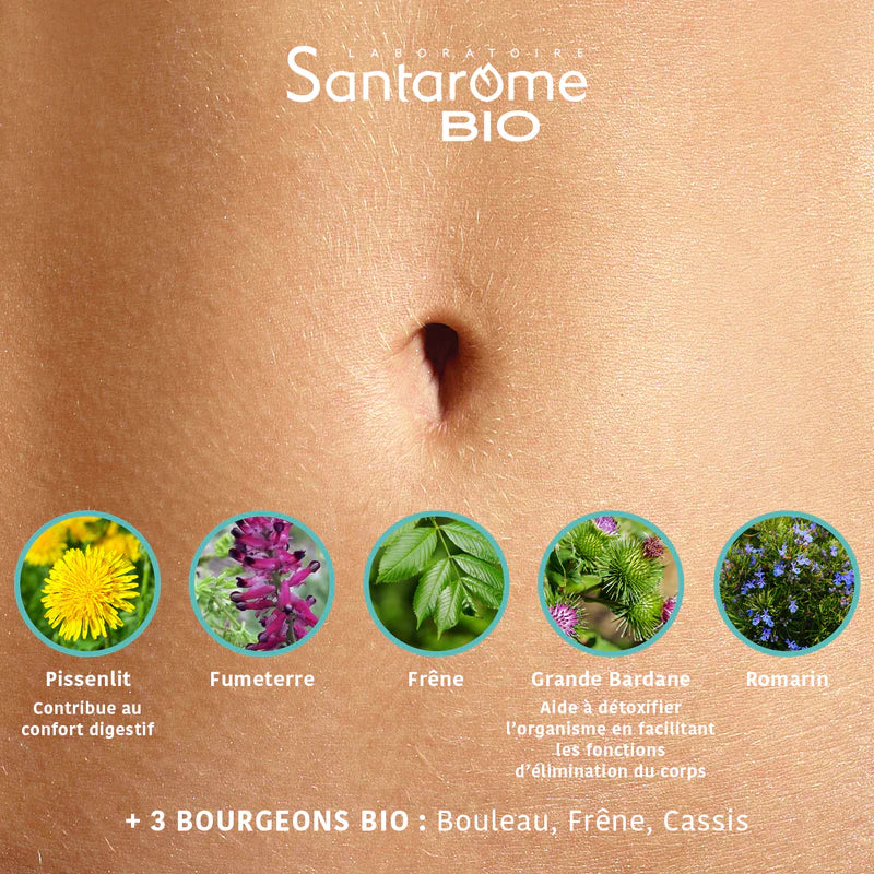 SANTAROME Détox BIO Ampoules mode emploi cure drainage détoxification 20 jours bio - novaparapharmacie