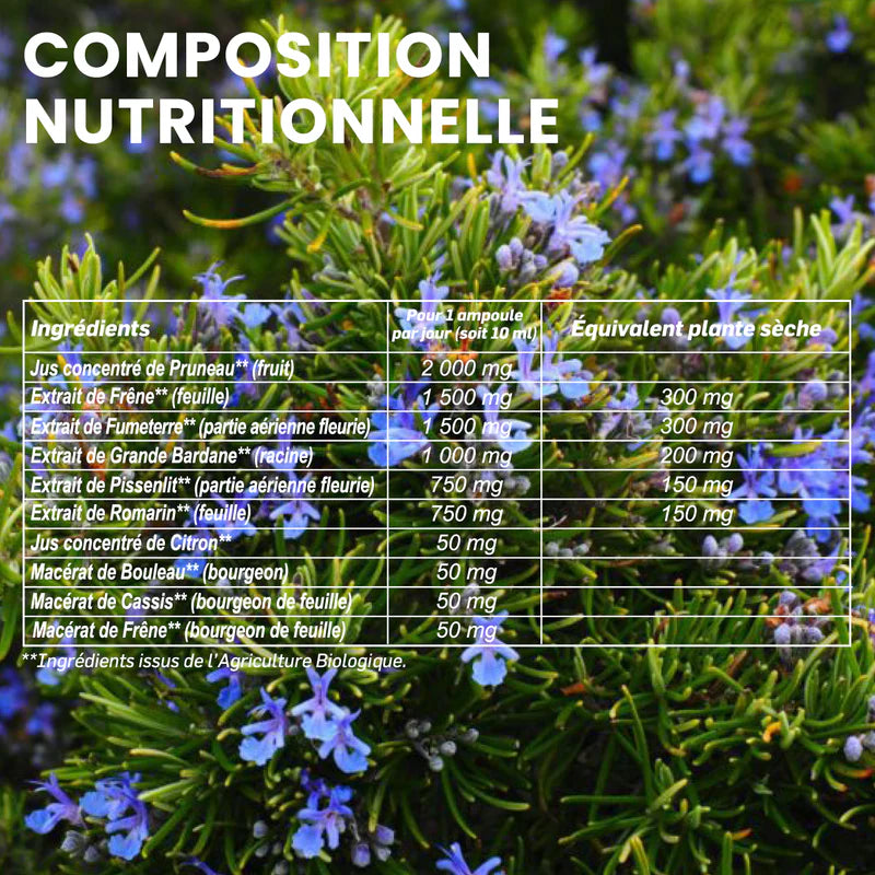 SANTAROME Détox BIO 20 Ampoules packaging complément alimentaire drainage détoxification bio - novaparapharmacie