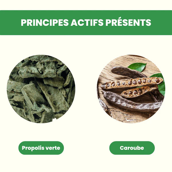 ALVEOLYS Propolis Verte du Brésil principes actifs artepilline C flavonoïdes antioxydants immunité - novaparapharmacie
