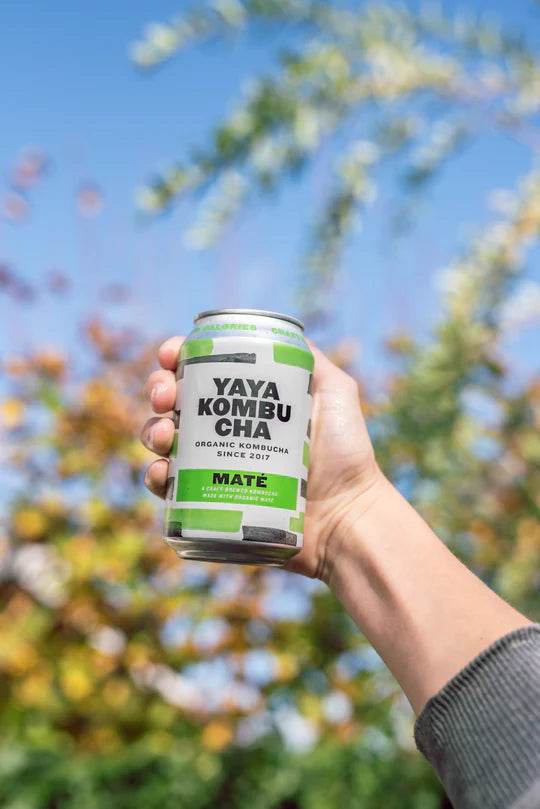 YAYA KOMBUCHA bénéfices probiotiques vivants détox naturelle énergie vitale fermentation - novaparapharmacie