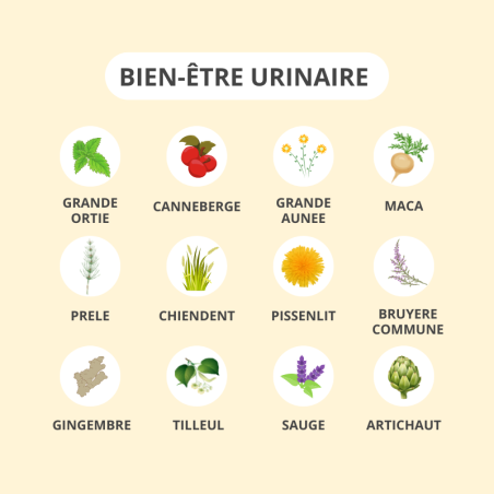  ACTIVA Bien-Être Urinaire formule cranberry D-mannose busserole vitamine C probiotiques - novaparapharmacie