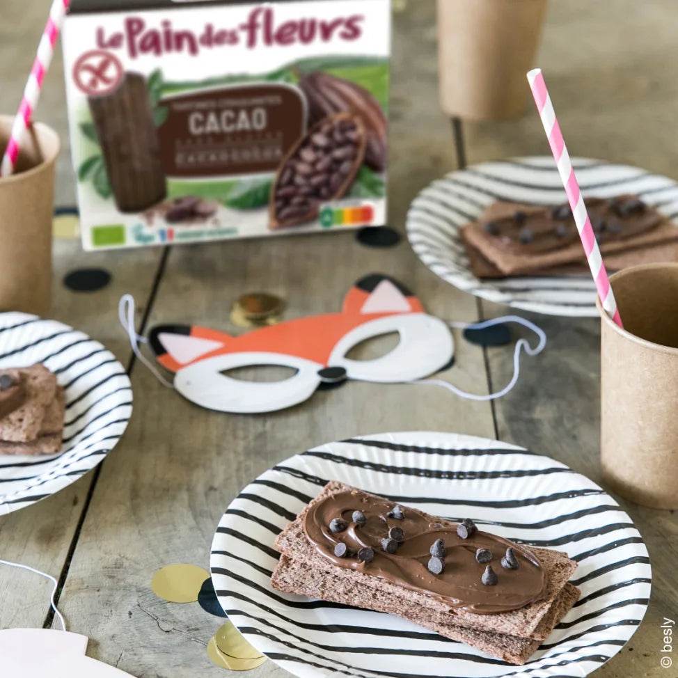 LE PAIN DES FLEURS Tartines Cacao tartines bio riz cacao millet sans gluten vegan petit-déjeuner gourmand - novaparapharmacie