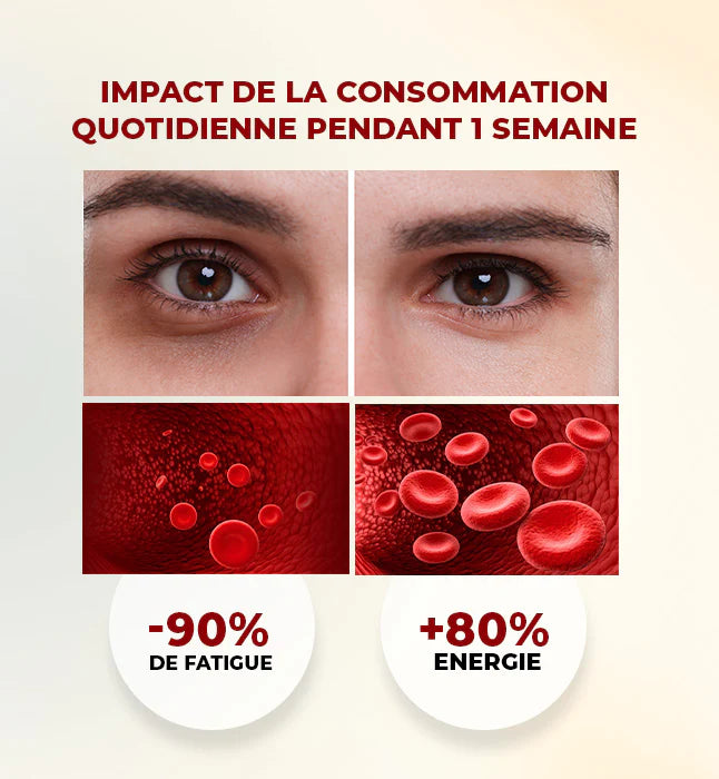 GLEAMY Fer Liposomal formule fer liposomal biodisponibilité absorption optimisée - novaparapharmacie