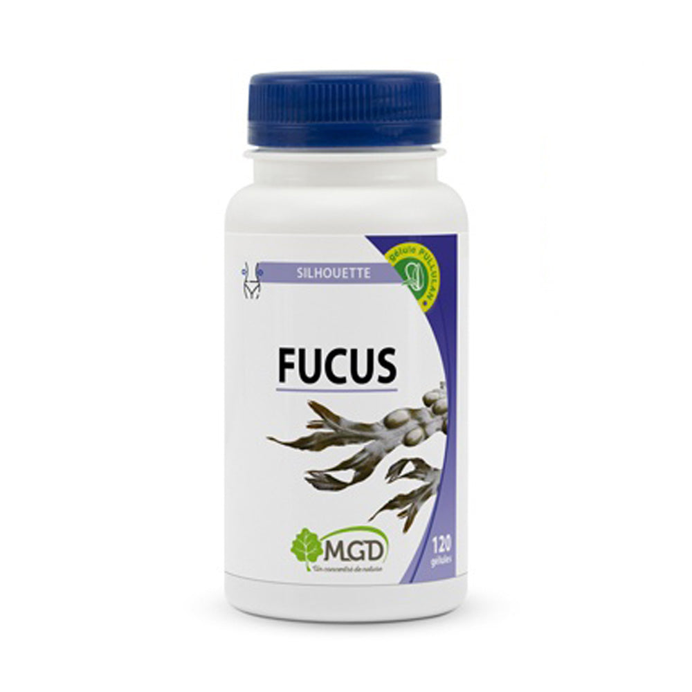 Mgd Nature Fucus 120 Gélules nova parapharmacie prix maroc casablanca